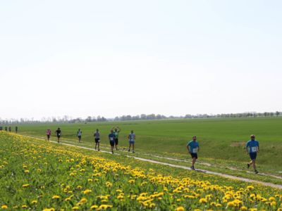 Tangermünder Elbdeichmarathon