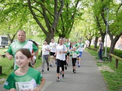 Tangermünder Elbdeichmarathon