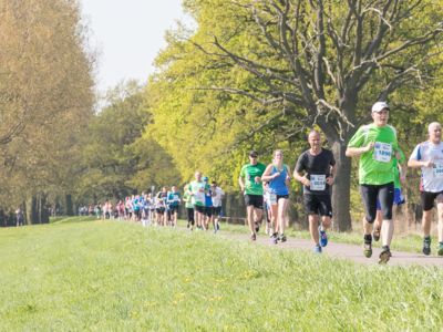 Tangermünder Elbdeichmarathon