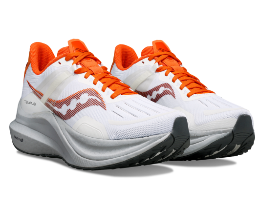 sauconytempustest