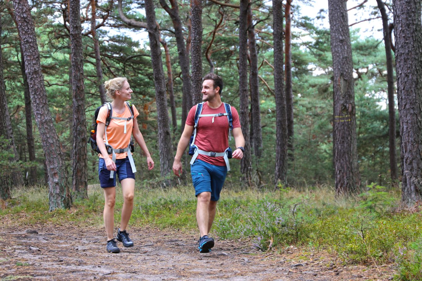 Wandern ist ein gutes alternatives Training zum Laufen