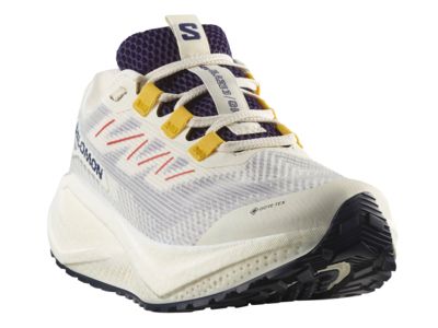 salomonaeroblaze3grvlgtxtest