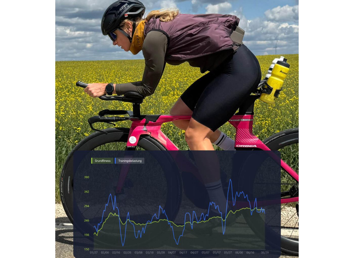 bild_online_publikation