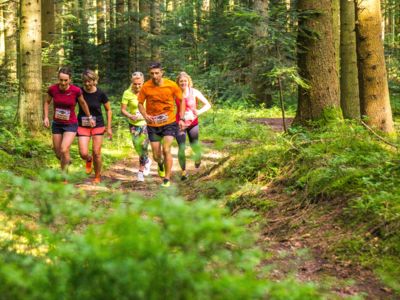Nordschwarzwald Trophy Trail im Wald