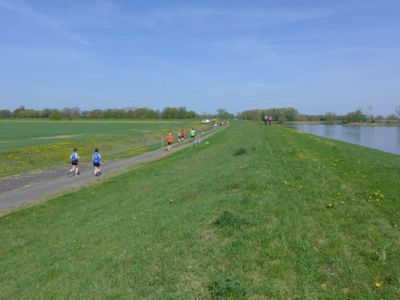 Tangermünder Elbdeichmarathon