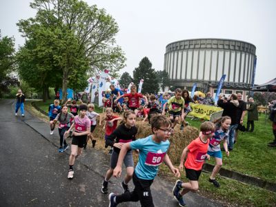 Legend of Cross Fryheit