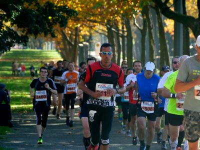 Mitteldeutscher Marathon: Das ist die Strecke