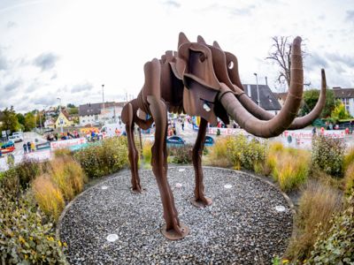 Bottwartal Marathon in Action