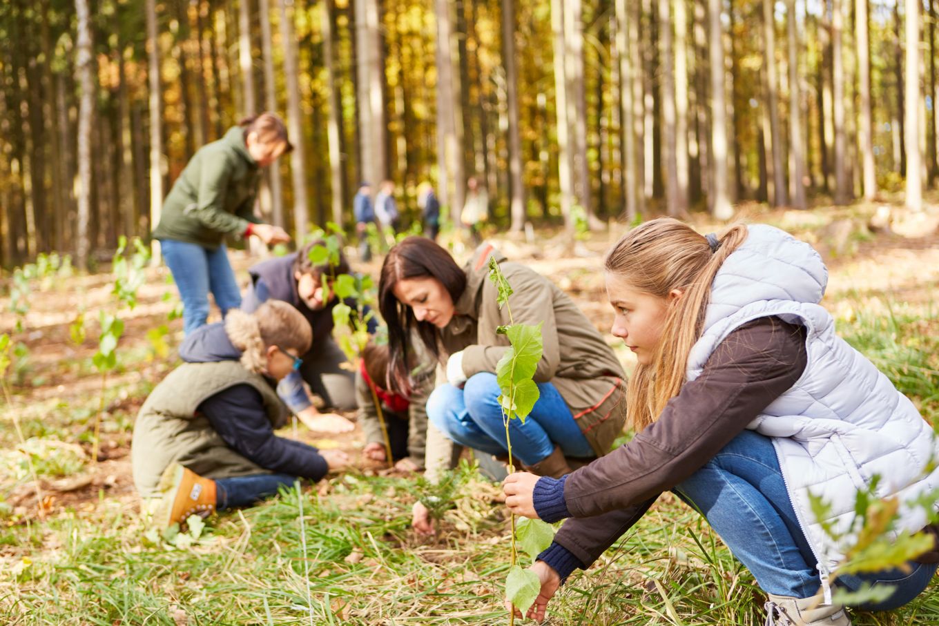 Beim Tag des Laufens wird für die Wiederaufforstung der Wälder in Deutschland gelaufen
