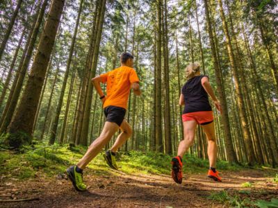 Nordschwarzwald Trophy Trail laufen im Wald