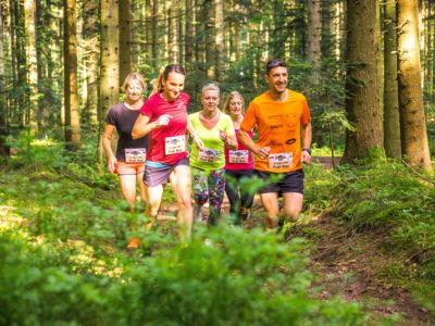 Nordschwarzwald Trophy Trail im Wald