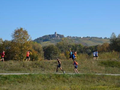 Durch Felder und Wiesen beim bottwartal Marathon