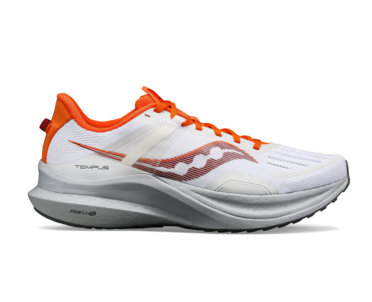 sauconytempustest