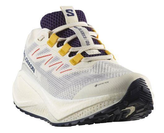 salomonaeroblaze3grvlgtxtest